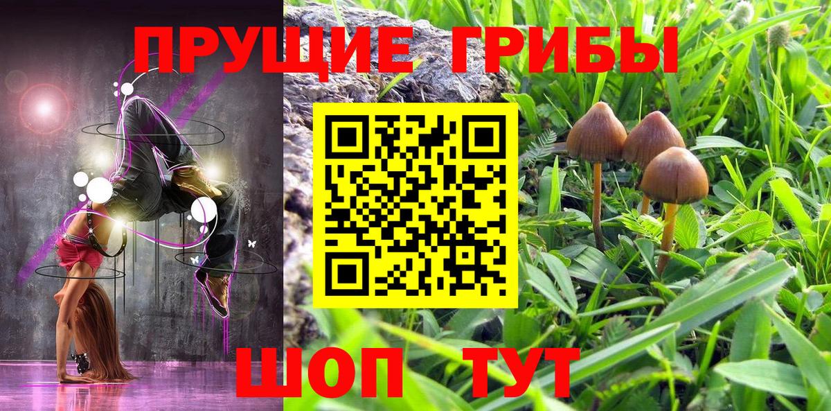 Галлюциногенные грибы GOLDEN TEACHER Рассказово