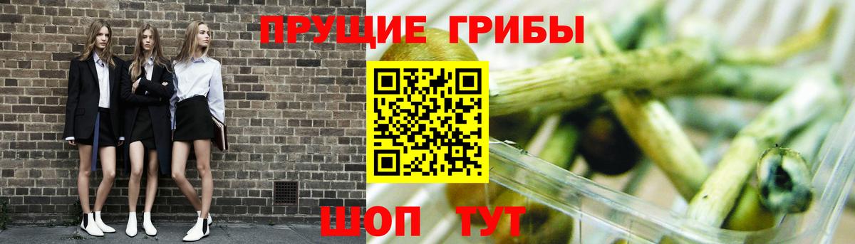 Рассказово  где купить наркотик  Вход с VPN  Галлюциногенные грибы ЛСД 